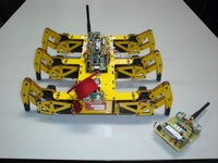 Totabot: progetto hardware e software di un robot esapode