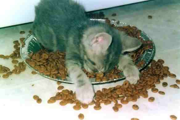 sonno.jpg